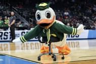 The Oregon Duck